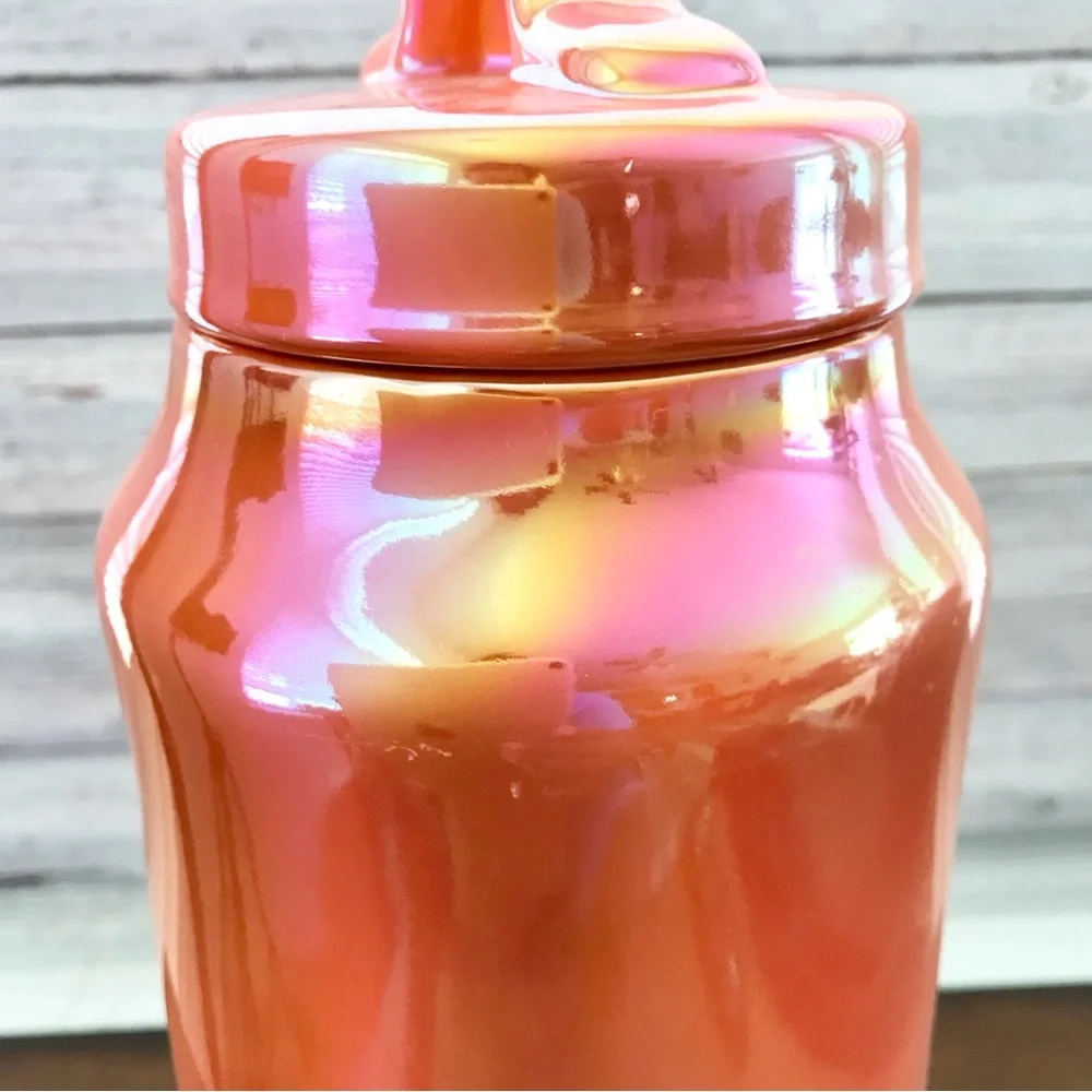 🆕Bugs and Hisses Decorative Canister